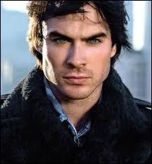 Quel acteur incarne Damon dans  The vampire diaries  ?