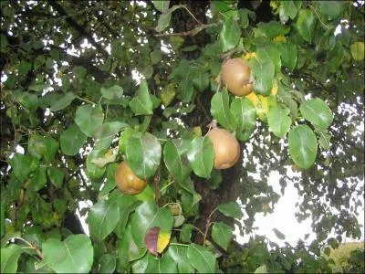 Sa production donne des gens un peu trop braves !