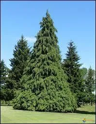 Avec lui a barbouille !