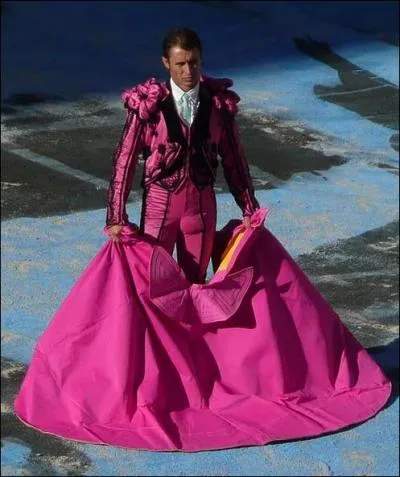 Une clbre corrida annuelle  Malaga et durant la Fria du riz d'Arles, introduit des costumes richement colors, comme les arnes spcialement dcores  cet intention de divers motifs. Du nom de quel artiste est baptise cette manifestation ?