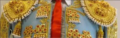 En quelle matire le costume traditionnel est-il ralis ?