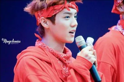 Et quel poids (approximativement) ?