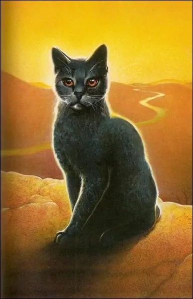 Pourquoi Plume Grise quitte-t-il le clan du tonnerre ?