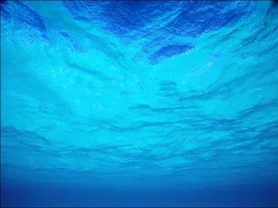 Parmi les formes gazeuses de l'eau, il y a :