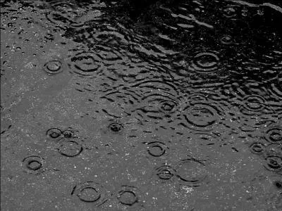 Sous combien de formes diffrentes se prsente l'eau ?