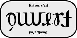 Quel nom portent ces mots que l'on peut lire au moins de deux manières différentes ?