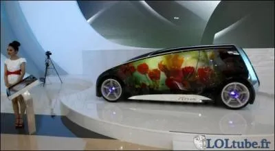 Dans quel salon cette voiture est-elle et que voit-on dessus ?