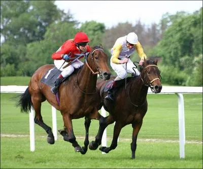 Le sport hippique comporte le trot , le galop et l'amble. Pour le galop, combien doit peser un jockey ?
