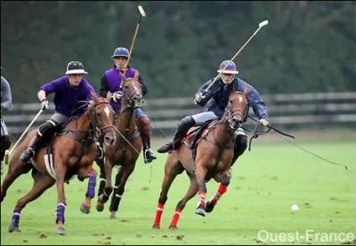 Le Polo, sport questre, est constitu de deux quipes de combien de joueurs ?