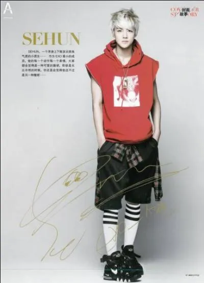 Quel est son style musical prfr ?