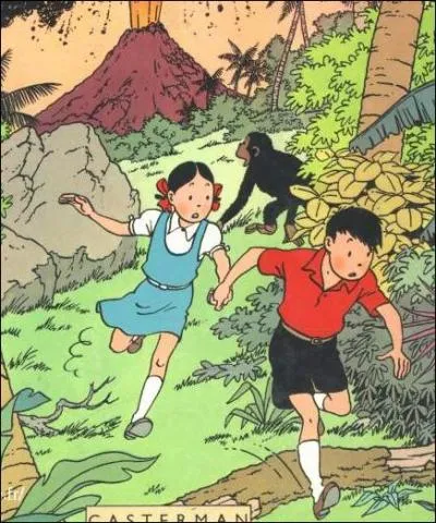 Un des personnages dessinés par Hergé :