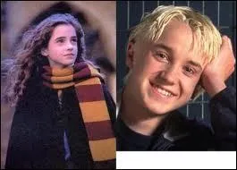 Qui a trait Hermione de Sang de Bourbe ?