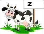 Millevaches sur un plateau !