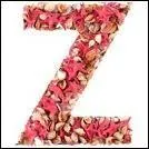  Here's to you  est un hommage rendu par Joan Baez  :