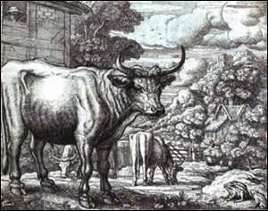 « Tout Bourgeois veut bâtir comme les grands Seigneurs, tout petit Prince a des Ambassadeurs, tout Marquis veut avoir des Pages. » De quelle fable est tirée cette morale ?