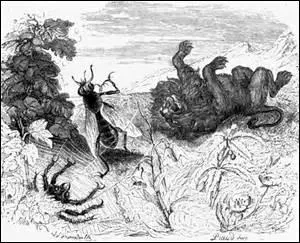 « Quelle chose par là nous peut être enseigné ? J'en vois deux, dont l'une est qu'entre nos ennemis les plus à craindre sont souvent les plus petits ; l'autre, qu'aux grands périls tel a pu se soustraire, qui périt pour la moindre affaire. » De quelle fable provient cette morale ?