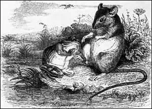 Et de quelle fable provient cette morale : « La ruse la mieux ourdie peut nuire à son inventeur ; et souvent la perfidie retourne à son auteur » ?