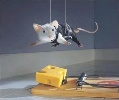 Et pour finir, est-ce vrai que les souris aiment le fromage, en gnral ?