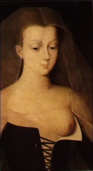 Comment Agns  Sorel  est-elle devenue clbre ?