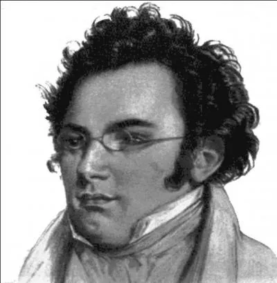 En quoi Franz  Schubert  s'est-il distingu ?