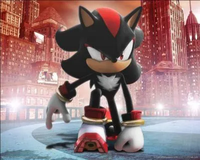 Lequel de ces thmes vient du jeu Shadow the Hedgehog ?