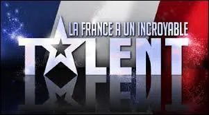 Comment s'appelle la musique choisie par Incroyable Talent 2013 ?