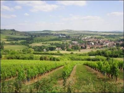 Dans quel dpartement se trouve la ville de Bourgogne ?