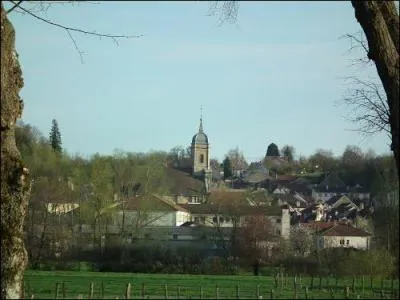 La ville de Jussey o vous verrez la fontaine Marianne et la maison Cordienne est situe dans le dpartement :