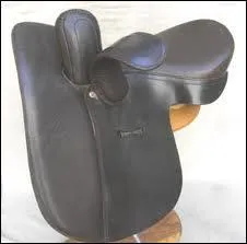 Pour quelle discipline est cette selle ?