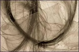 Il n'y a qu'un cheveu sur la tte  Mathieu. Quel est le pluriel de  cheveu  en anglais ?