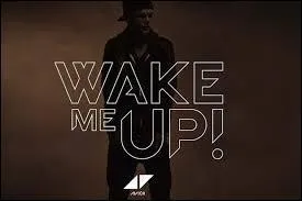 Quel DJ compose  Wake me up , qui connat un vritable succs international ?