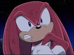 Combien de fois a-t-il volu ?