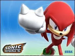 Quelle est sa taille ?