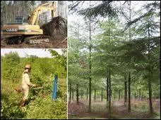 L'entretien et l'exploitation des forts se nomme ...