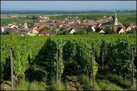 L'activit agricole consistant  cultiver la vigne est la ...