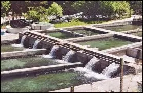 L'levage des poissons est ...