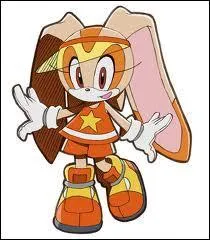 Quel est son poids ?