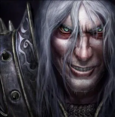 Dans Warcraft III : The Frozen Throne, lesquels de ces 4 personnages ou hros, chacun reprsentant une race particulire du jeu, sont des personnages ou hros principaux jouables tout le long d'une campagne bien spcifique ?