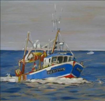 Quel type de filet est utilis par les chalutiers pour capturer les poissons de types  bleus  comme la sardine, le thon, l'anchois ou le maquereau ?