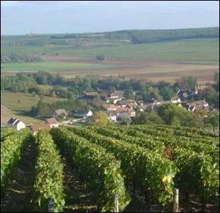 Avec quel cpage exclusif est labor le Chablis, vin blanc trs sec et fruit des vignobles du village du mme nom ?