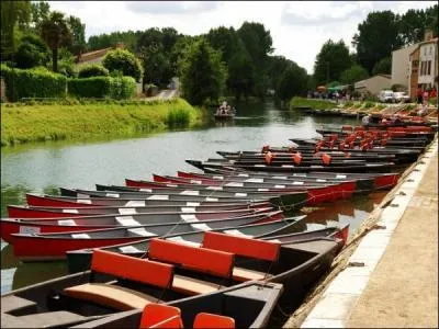 Elle prsente des paysages sublimes sur les trois dpartements qu'elle occupe. (Vende, Deux-Svres, Charente-Maritime). Quelle est cette Venise ?