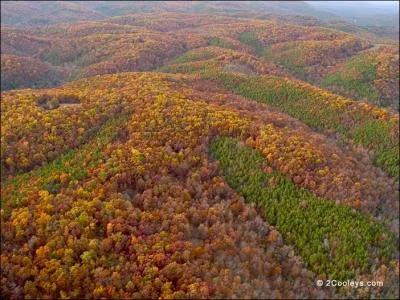 Habitant � l'origine l'est et le sud-est du pays, les Cherokee ont �t� repouss�s de force sur un plateau s'�tendant sur le Missouri, l'Arkansas, l'Oklahoma et le Kansas, entre les rivi�res Arkansas et Missouri, le plateau Ozark. De quel pays vient probablement ce nom ?