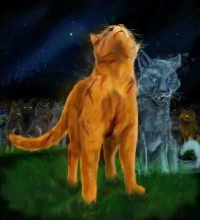 Quelle est la petite amie d'toile de Feu ?