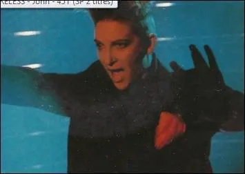 1986-1987- Voyage... Voyage - Texte de Jean Michel Rivat. A qui avait-il destin  l'origine cette chanson qui au final portera Dsireless vers le succs ?