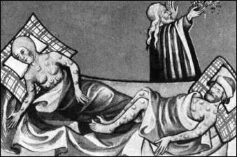 Au cours des 10 dernires annes, la peste a tu des millions de personnes dans le monde. Le pays le plus touch est l'Inde avec prs de 6 millions de morts, touchs par ce flau. Cette anne, des scientifiques ont sans doute trouv l'origine de cette pidmie : selon eux, la peste bubonique se transmettrait par les puces...