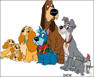 De quelle race est Lady, la jolie chienne de  La Belle et le Clochard  dans le dessin anim de Disney ?