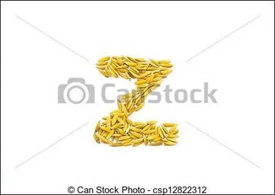 C'est du riz sauvage !