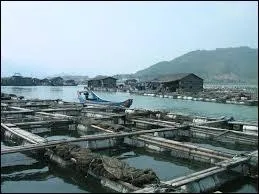 Comment appelle-t-on l'art de multiplier et d'lever des animaux et des plantes aquatiques ?