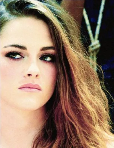 Quel en est le personnage principal ?