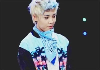 Quand a-t-il fait ses dbuts et aux cts de qui ?